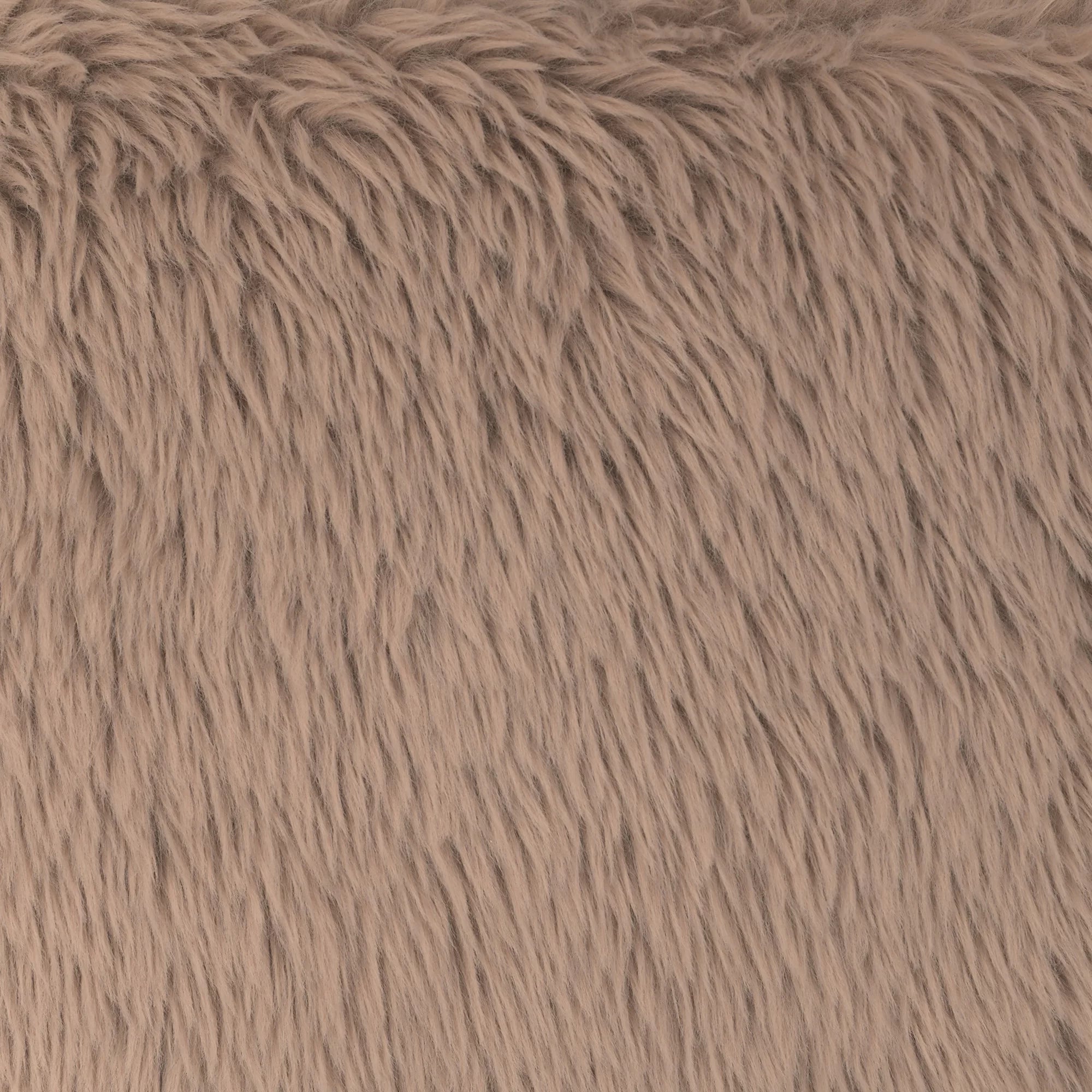 Mammut