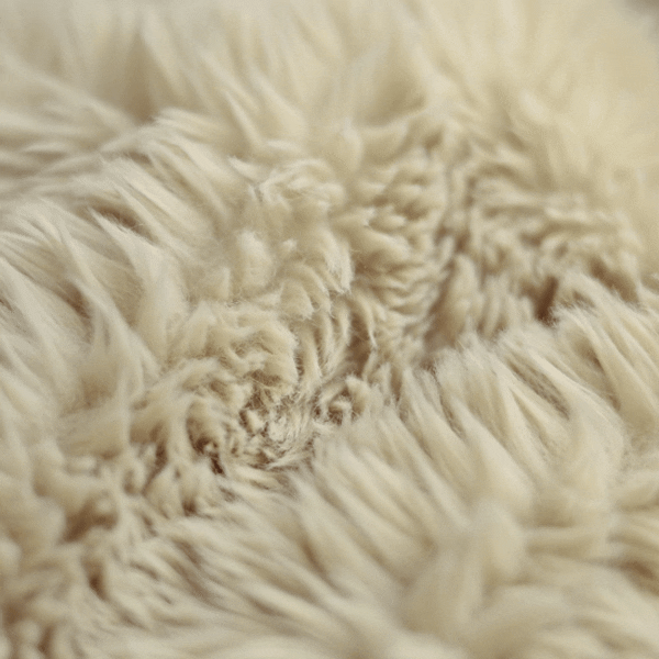 Mammut